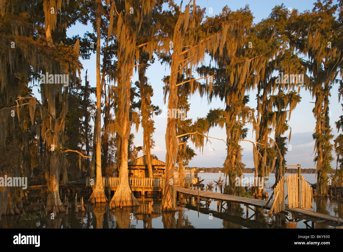 Lake Verret Stock Photos Lake Verret Stock Images Alamy