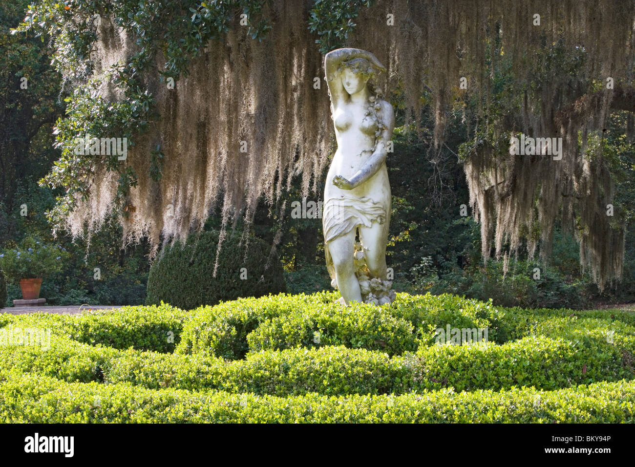 A Statue And Old Oak Trees Overgrown With Spanish Moss Afton