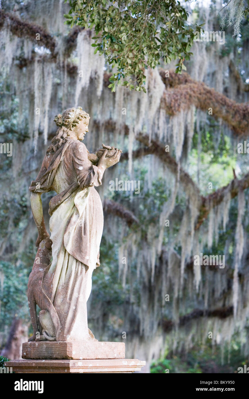 A Statue And Old Oak Trees Overgrown With Spanish Moss Afton