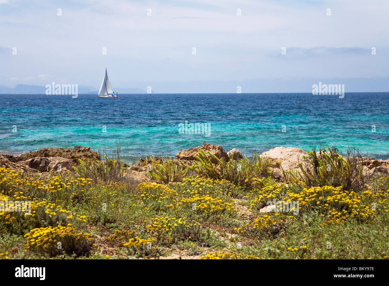 Coast area with flowers under clouded sky, Platja d'es Caragol, Mallorca, Balearic Islands, Mediterranean Sea, Spain, Europe Stock Photo