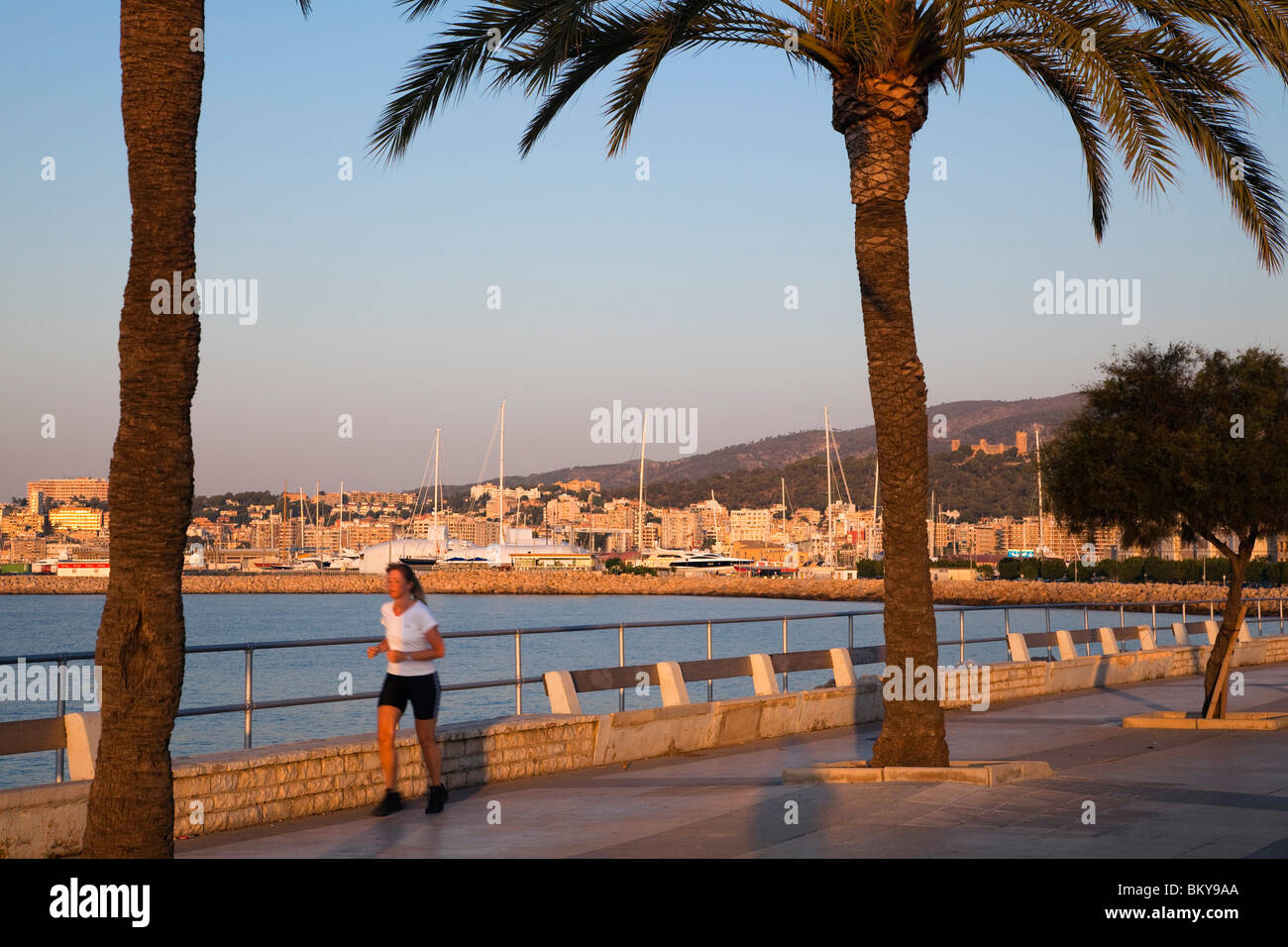 Jogger at waterfront promenade Avinguda Gabriel Roca in the morning sun, Palma, Mallorca, Balearic Islands, Mediterranean Sea, S Stock Photo