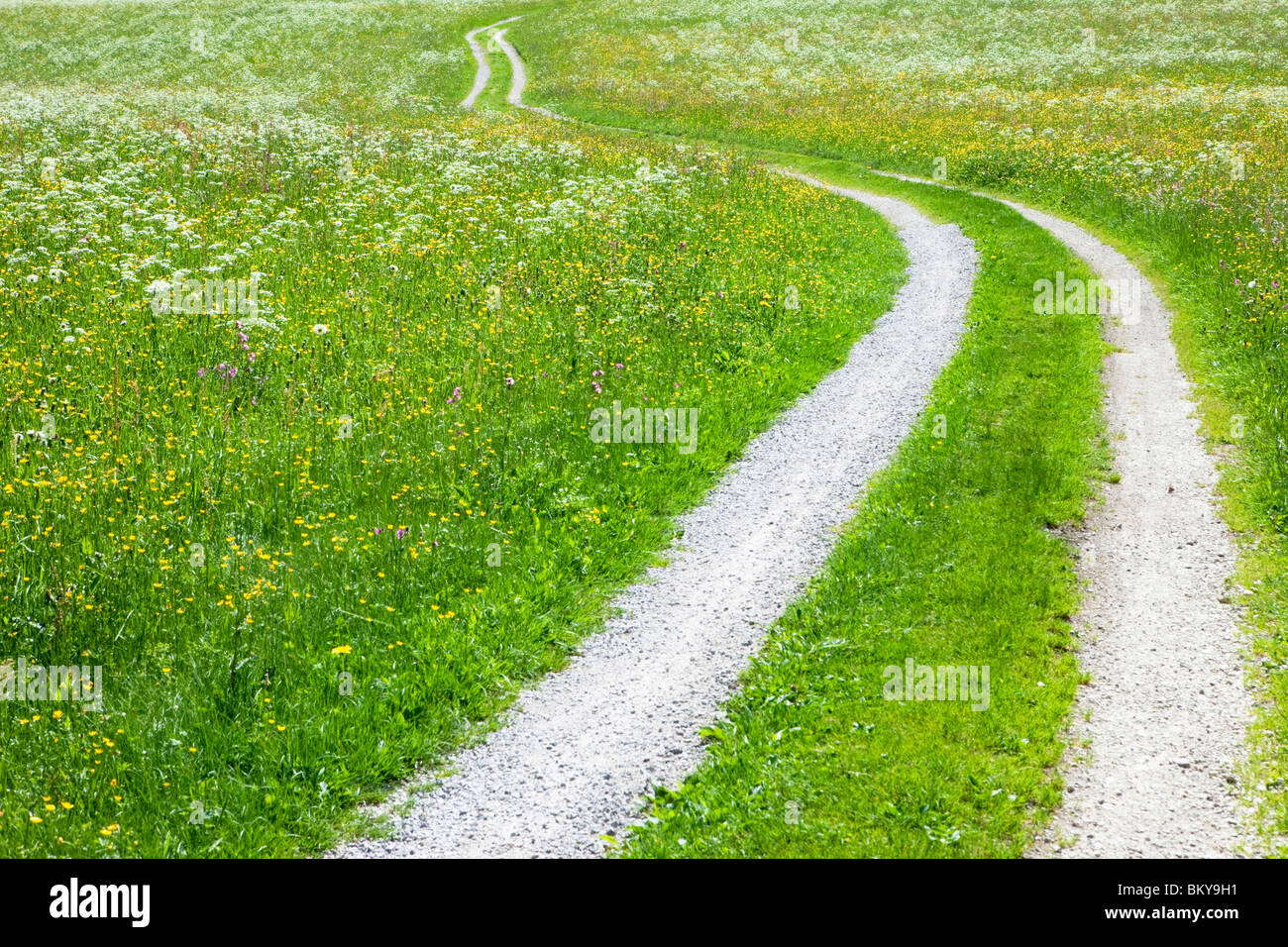 Path through meadow, mountain Staffel, Jachenau, Bavaria, Germany Stock Photo