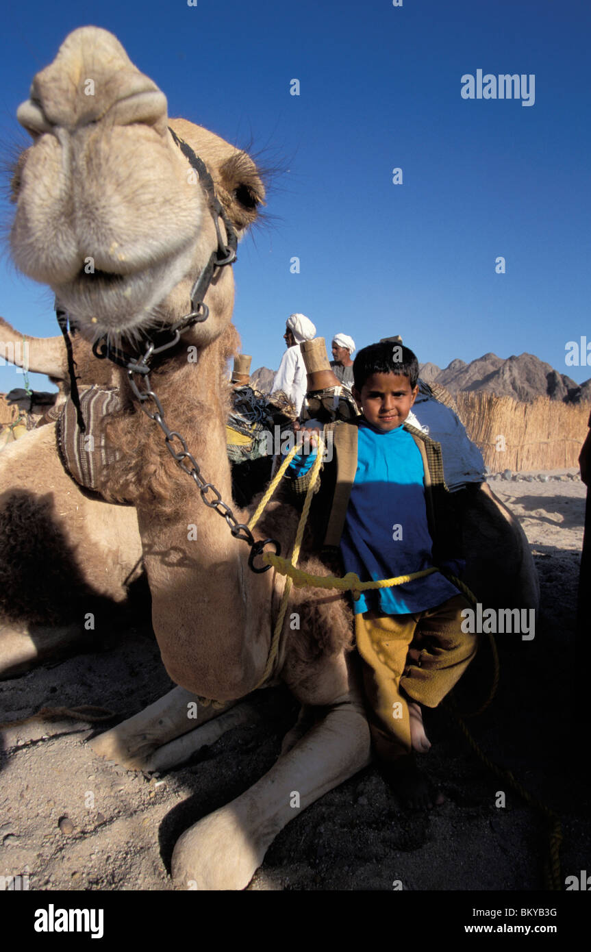 Bedouin child camel hi-res stock photography and images - Alamy