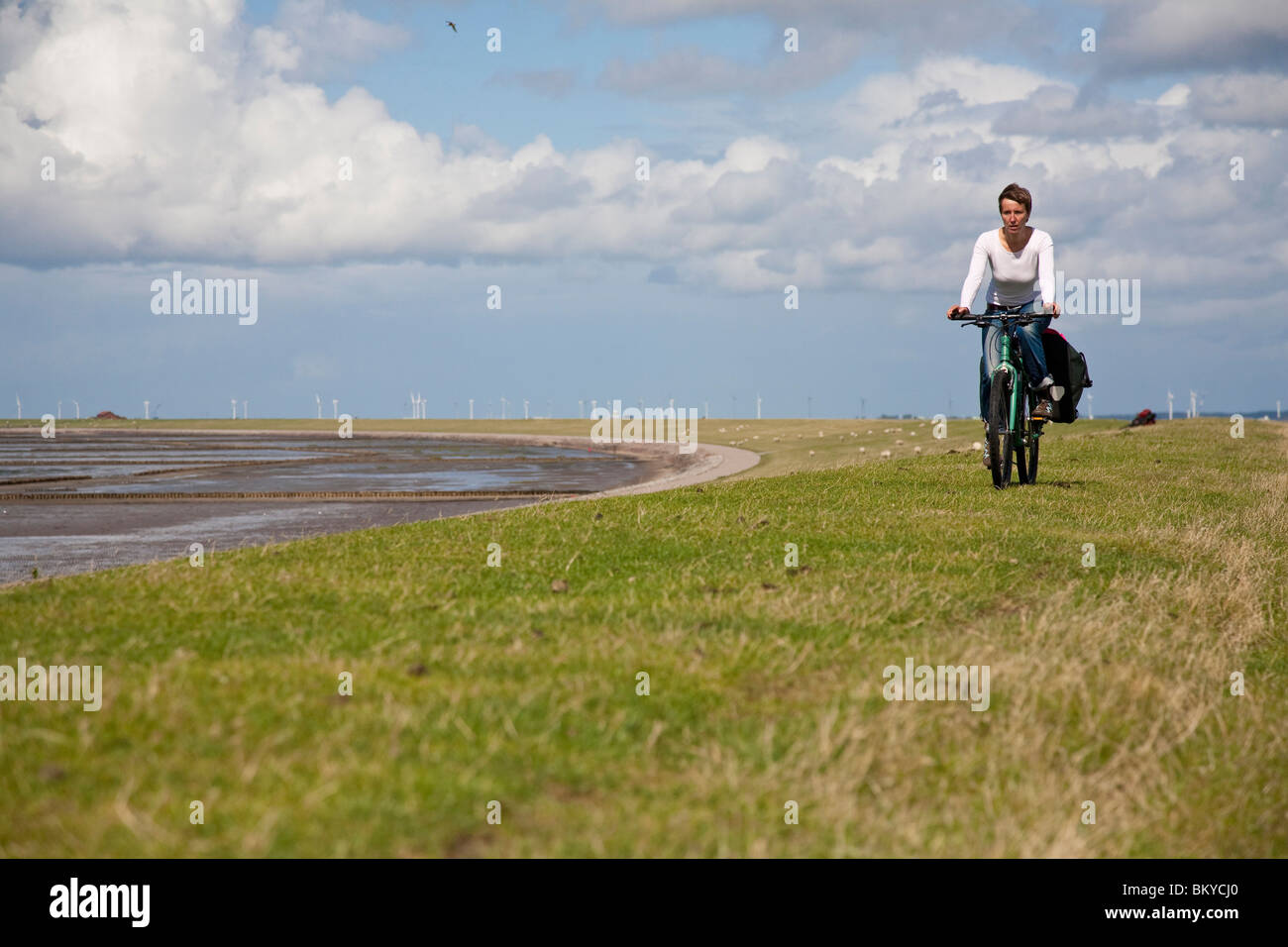 Woman cycling over dike, Beltringharder Koog, Luettmoorsiel, Nordstrand, Schleswig-Holstein, Germany Stock Photo