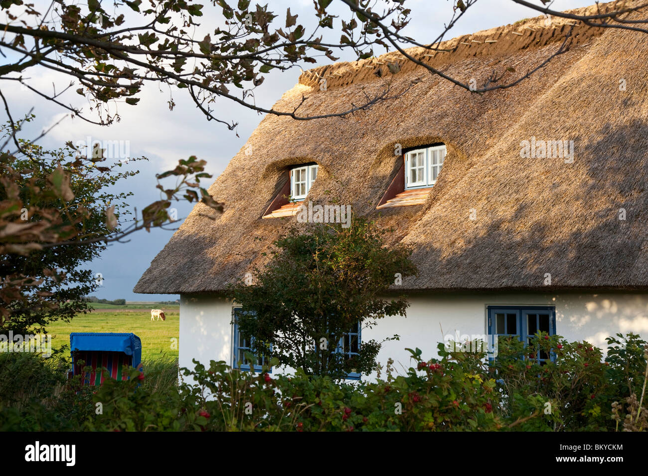 Frisian House Alte Kirche Pellworm Island Schleswig Holstein