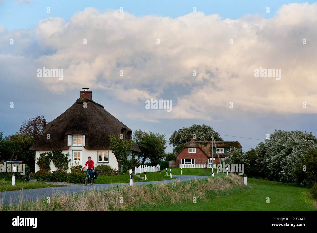Frisian houses, Alte Kirche, Pellworm island, Schleswig-Holstein, Germany Stock Photo