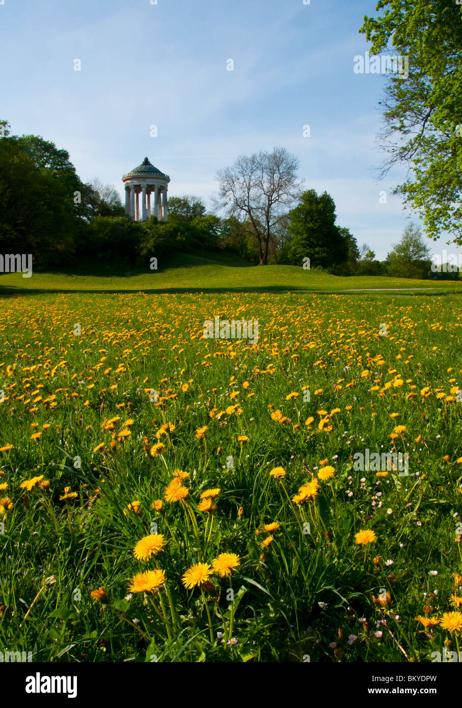 English garden in Munich during springtime. Germany Stock Photo