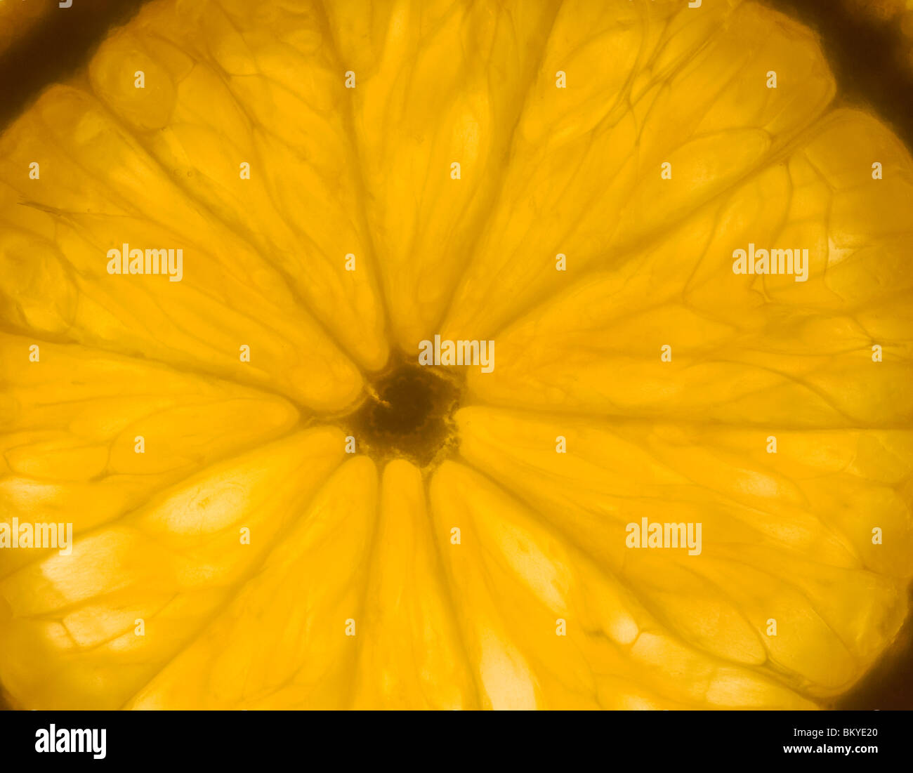 Orange slice cells up close hi-res stock photography and images - Alamy