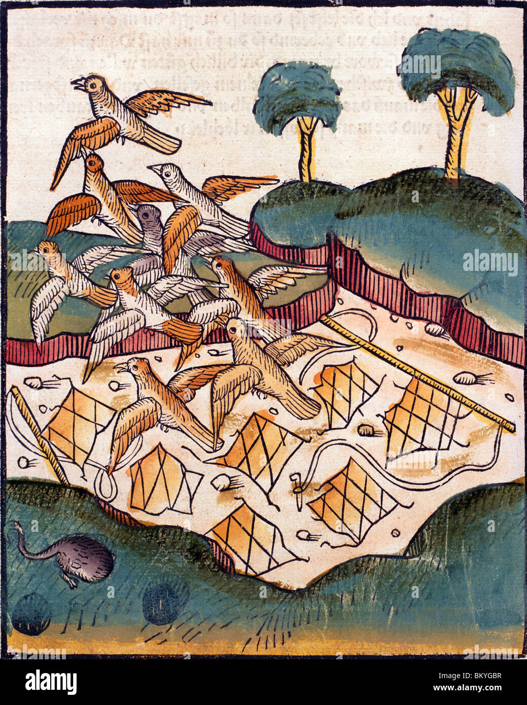 Birds escaping net,  from Buch der Weisheit der alten Weisen,  USA,  Illinois,  Chicago,  Newberry Library,  1483 Stock Photo