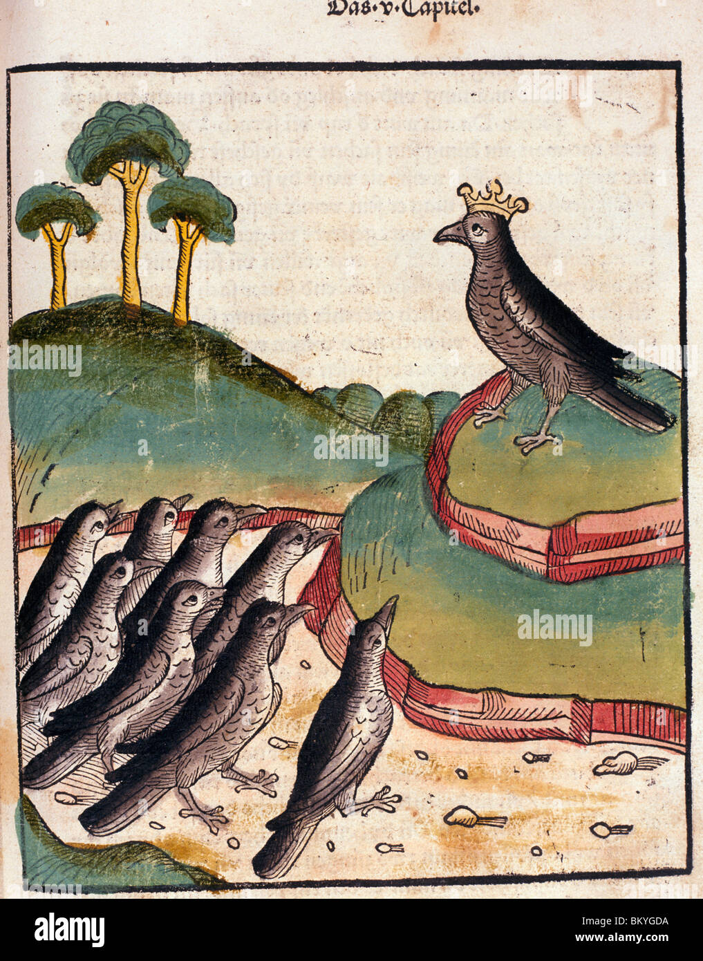 Bird wearing a crown,  from Buch der Weisheit der Alten Weisen,  USA,  Illinois,  Chicago,  Newberry Library,  1483 Stock Photo