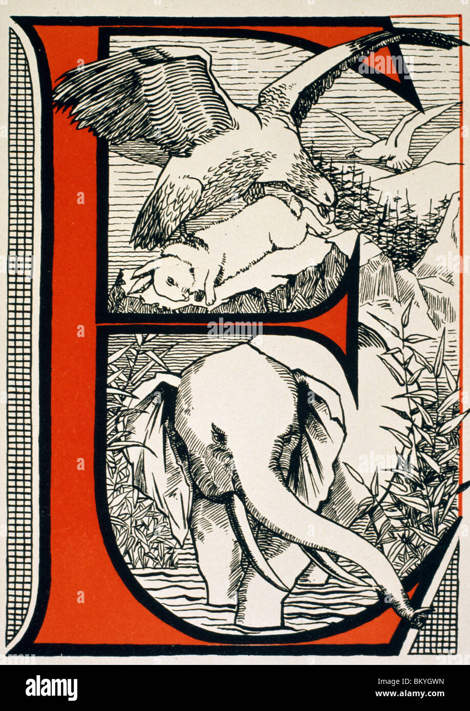 The Letter E (Is For Elephant,  Eagle...),  from book ABC by Theodore Howard,  USA,  Illinois,  Chicago,  Newberry Library Stock Photo