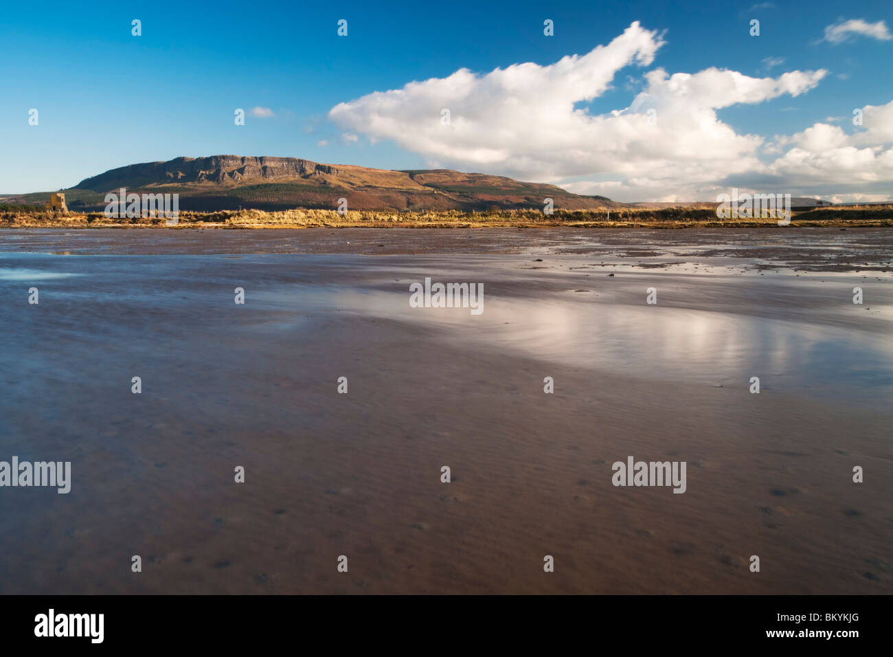 The crags of Binevenagh reflected in the incoming tide at Balls Point on the Roe Valley Estuary, County Derry, Northern Ireland Stock Photo