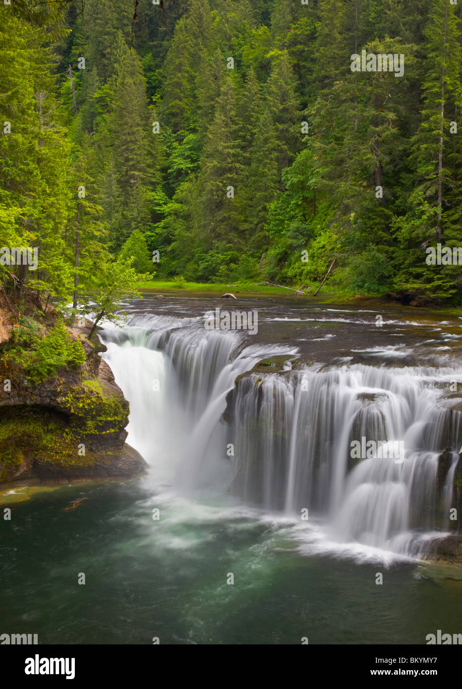 Gifford Pinchot National Forest, WA Lower Lewis River falls in summer ...