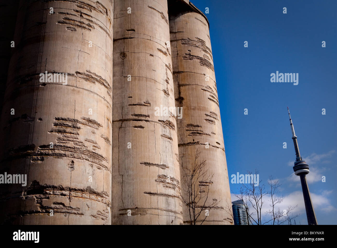 CN tower is seen behind the Canada Malting Co. grain processing tower in Toronto Stock Photo