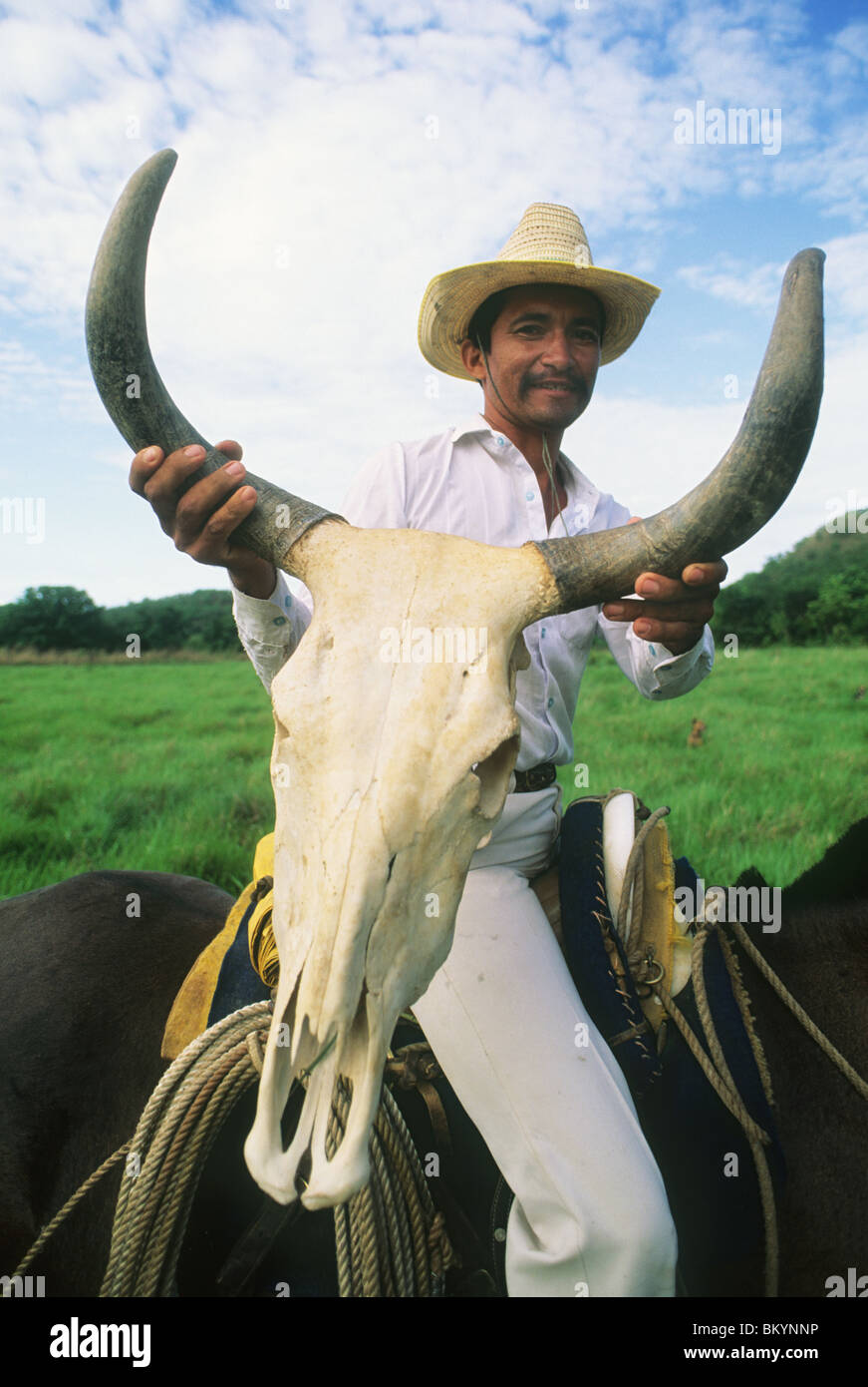 Llanero with cow skull, Hato Pinero, Llanos, Venezuela. Stock Photo