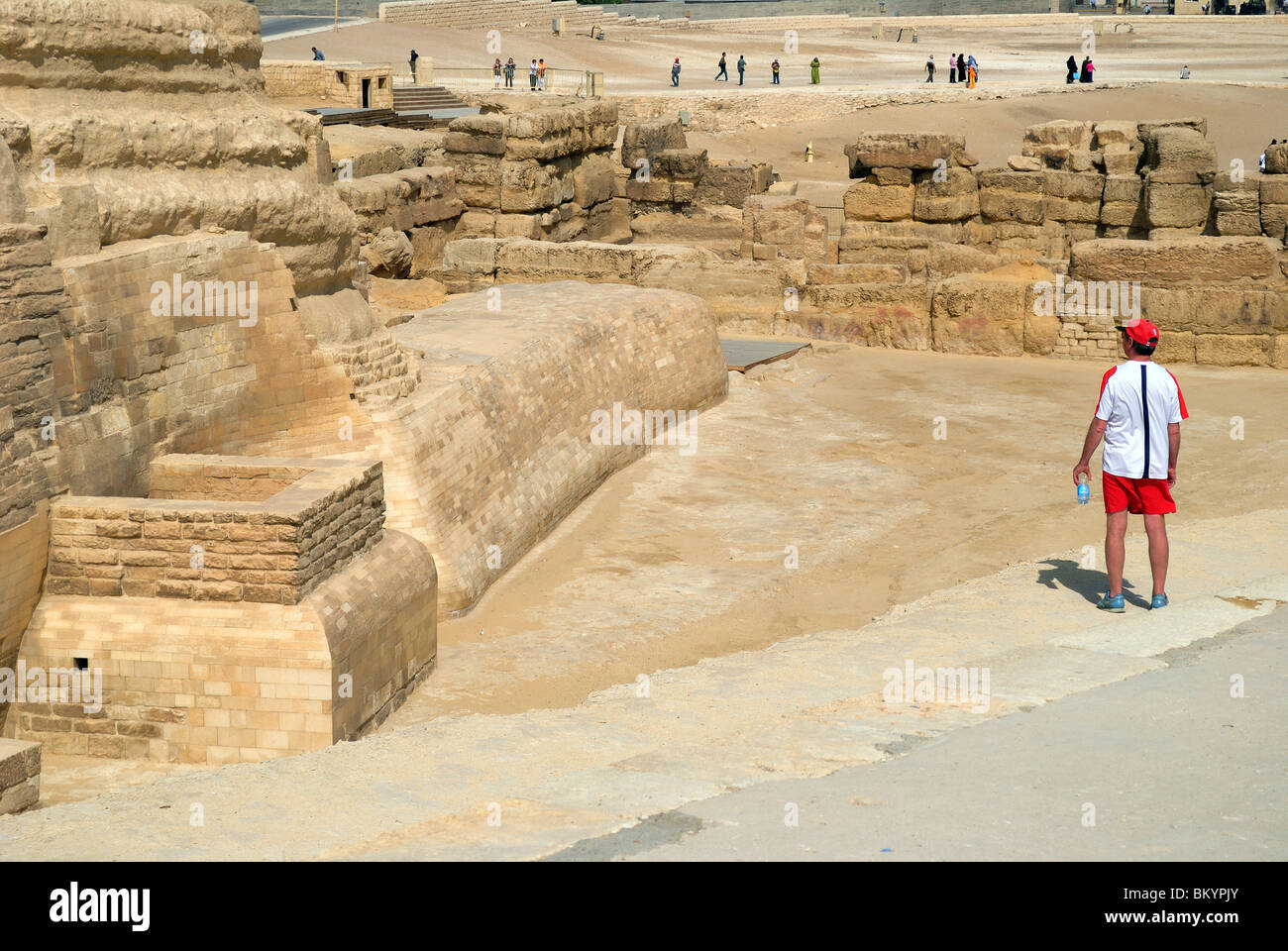 The Great Sphinx of Giza, Egypt Stock Photo Alamy