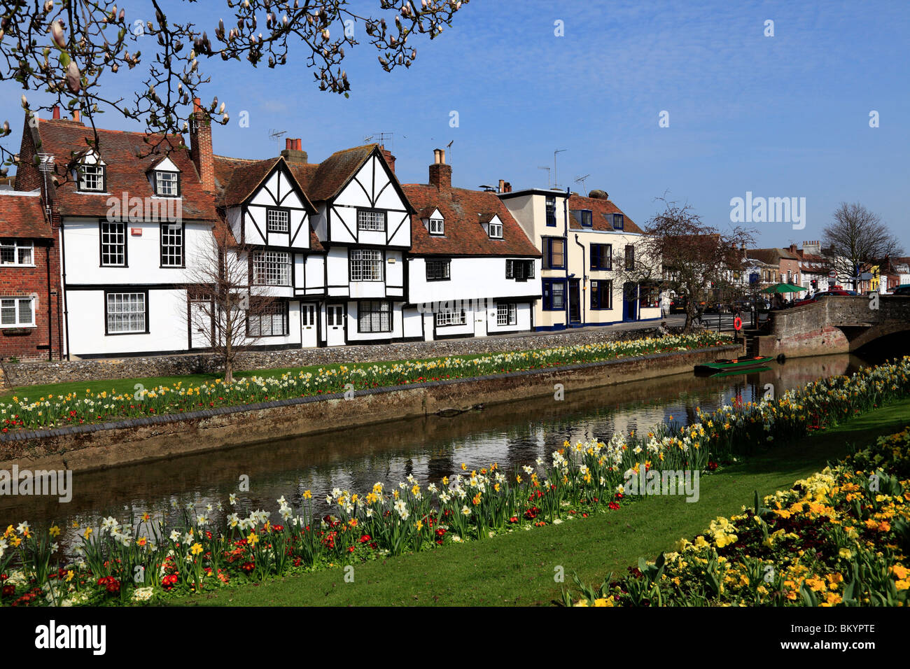 3100. Westgate Grove, Canterbury, Kent, UK Stock Photo