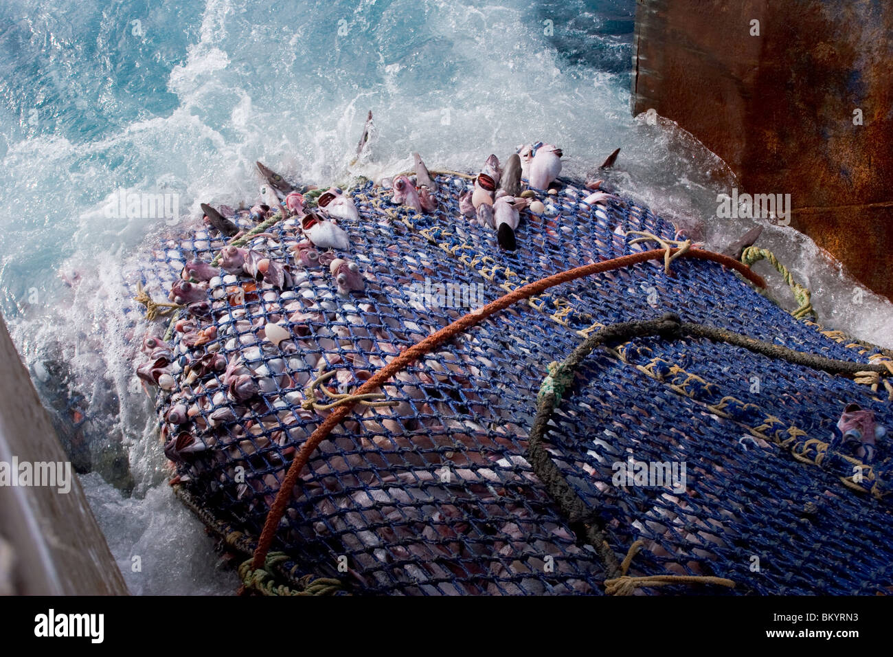 Deep sea trawl net hi-res stock photography and images - Alamy