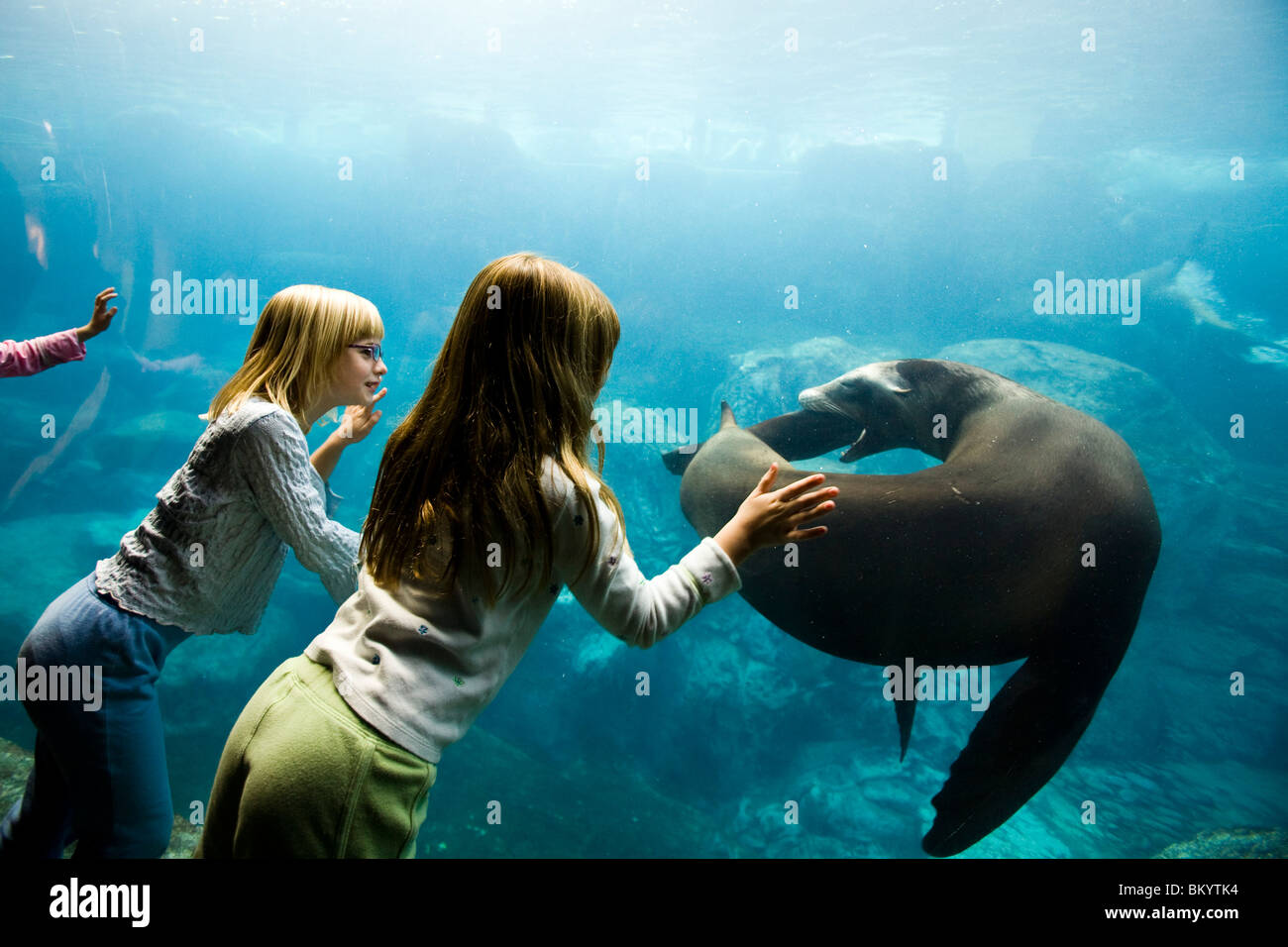 kids interact with a seal, Long Beach Aquarium, Los Angeles County