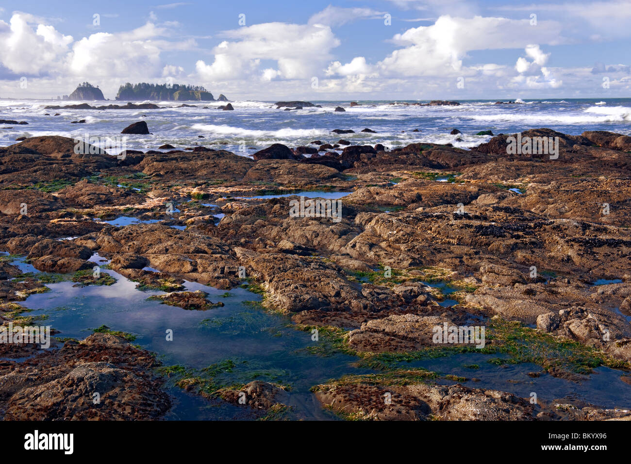 Morning low tide at Washington's Rialto Beach with offshore James