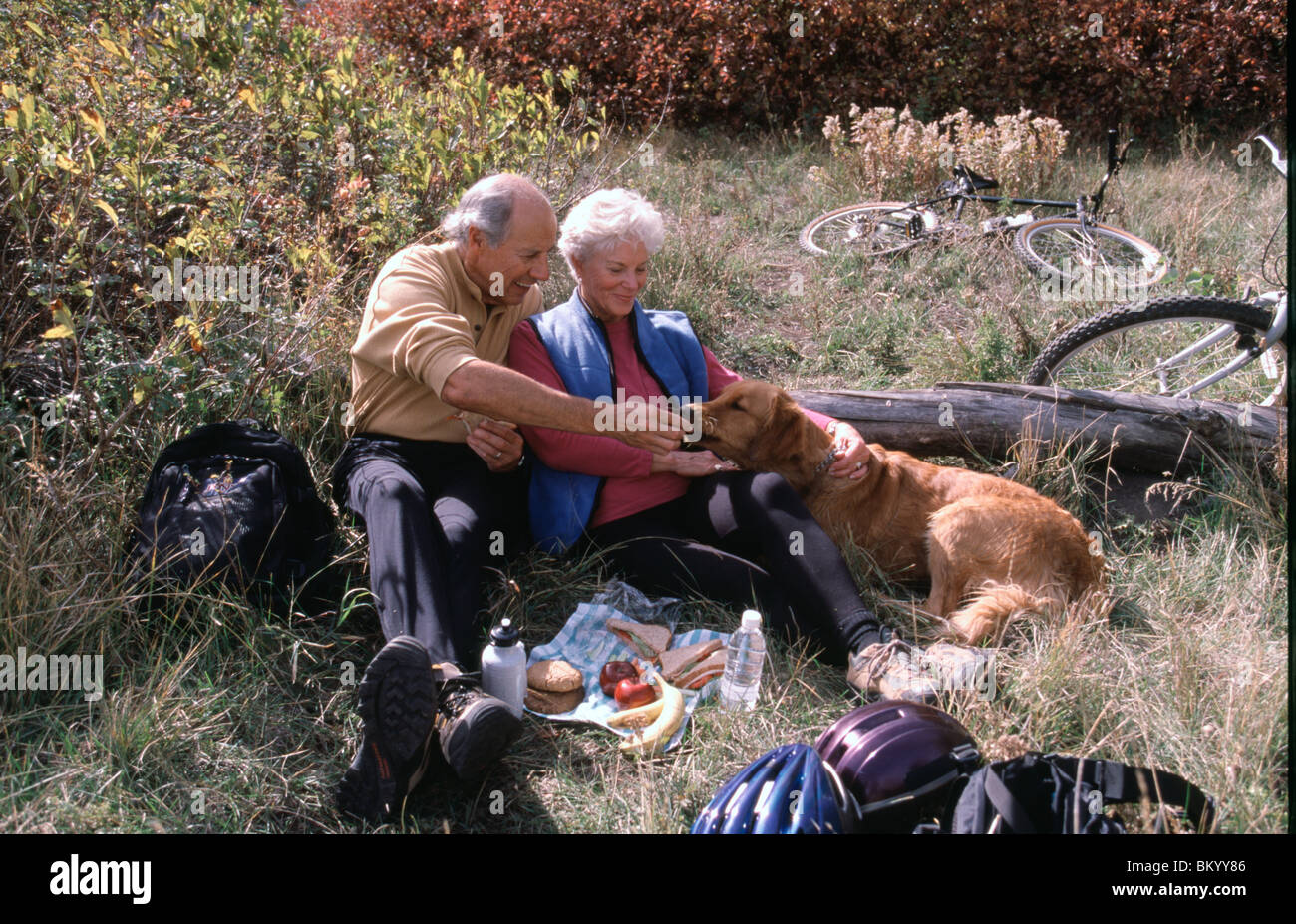 Senior couple on picnic with dog Stock Photo - Alamy