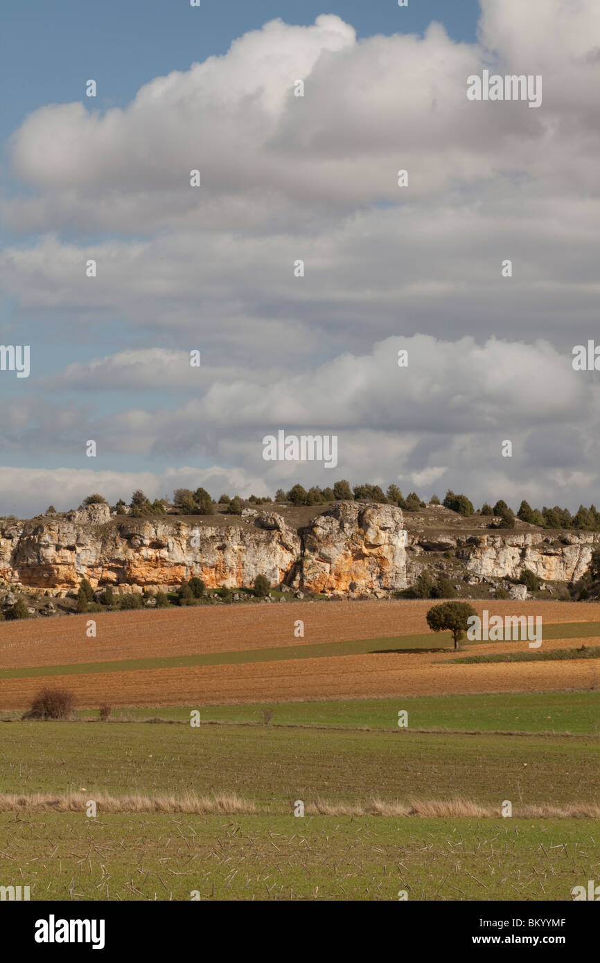 Cultivos cultivos cultivos hi-res stock photography and images - Alamy