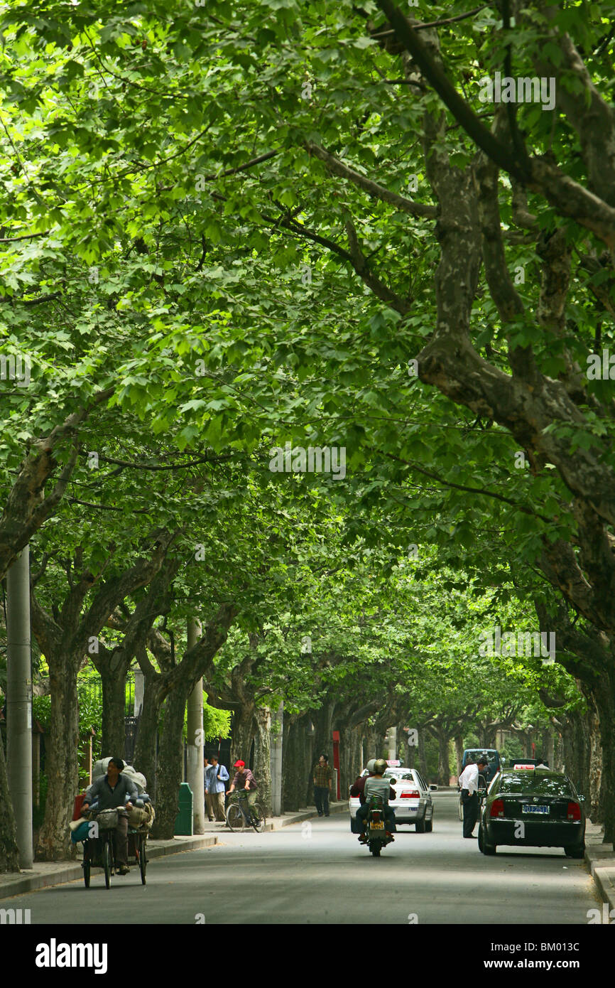 French Concession, pedestrian, car Stock Photo