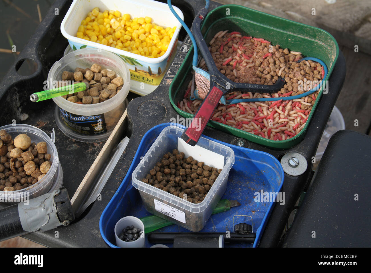 fishing bait trays