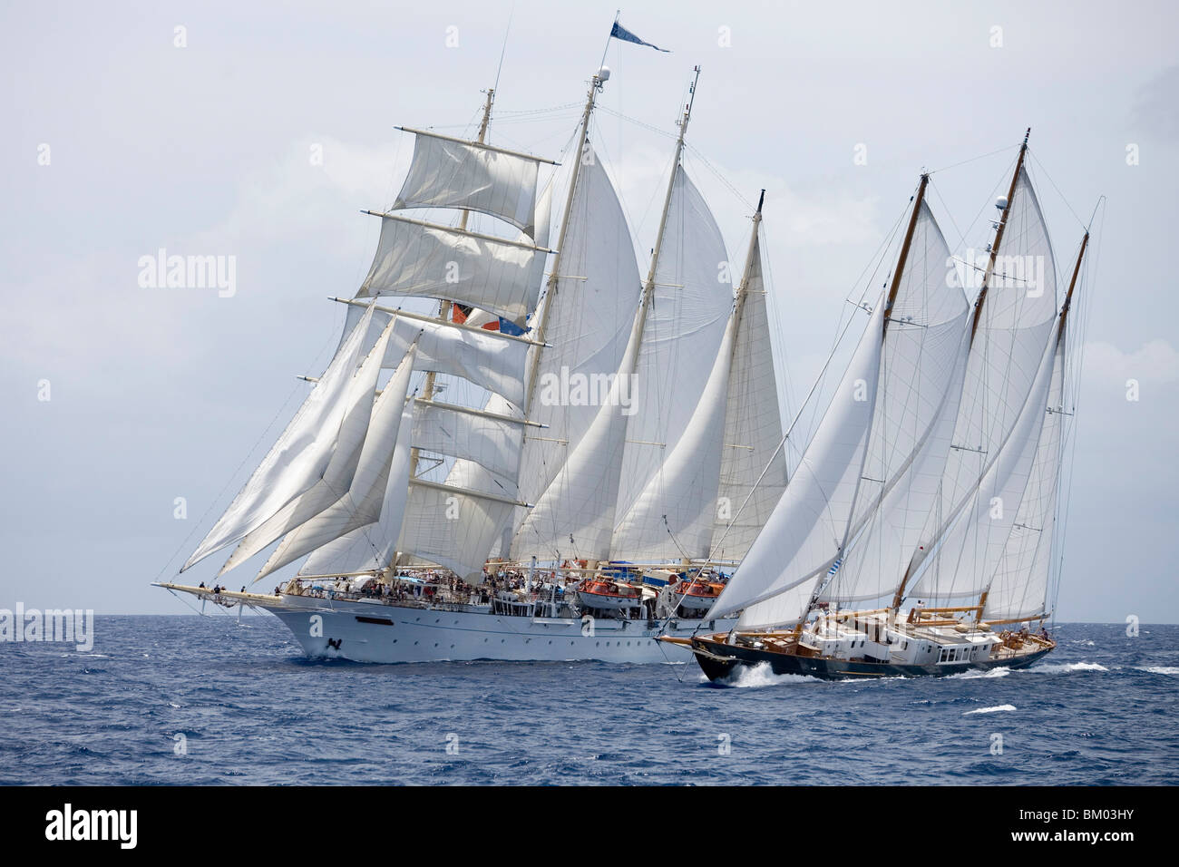 Fleurtje and Star Clipper under Full Sail, Antigua Classic Yacht Regatta, Antigua Stock Photo