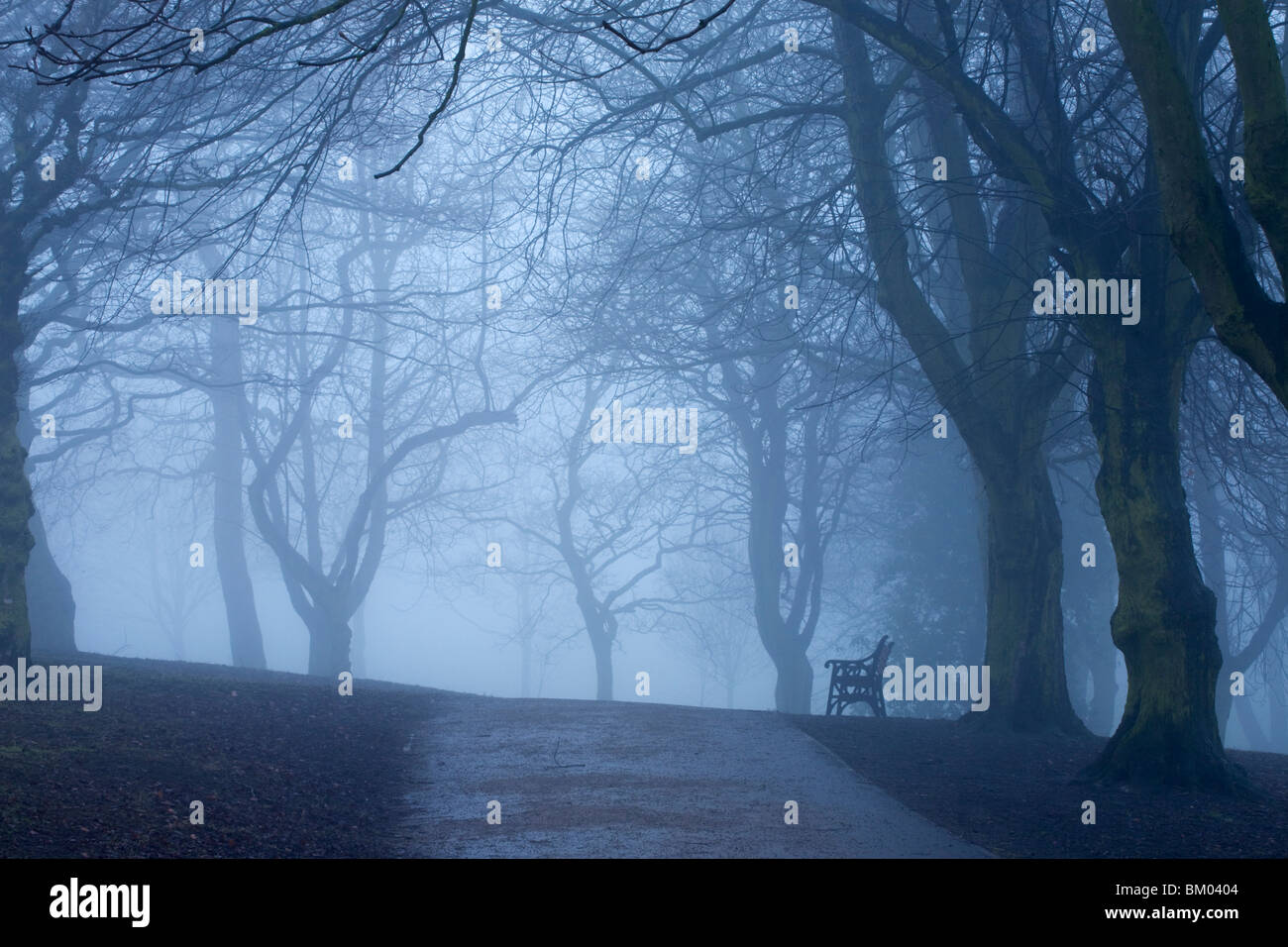 A lone park bench on a foggy day in the park Stock Photo