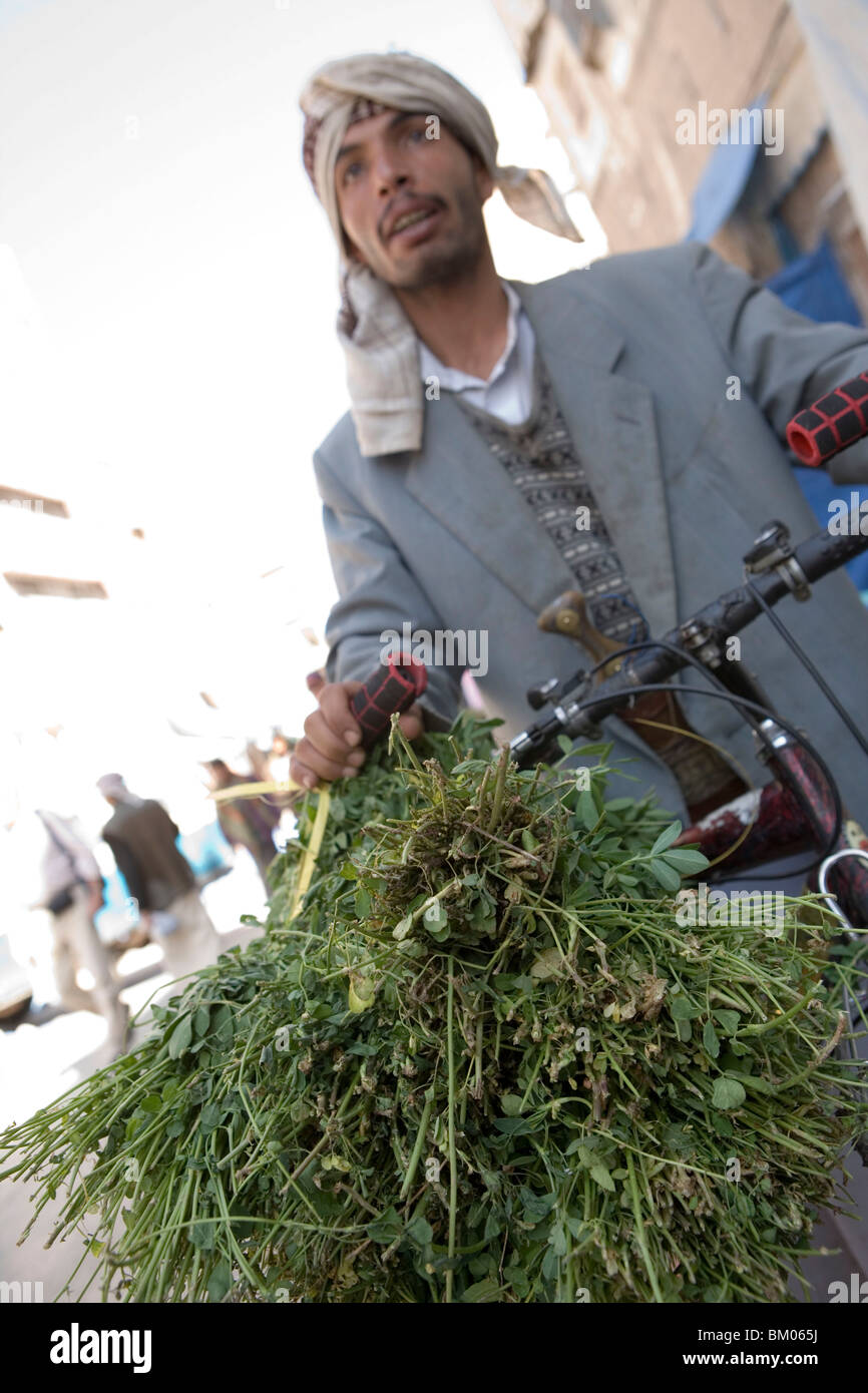 Man Selling Qat Leaves, Sana'a, Yemen Stock Photo