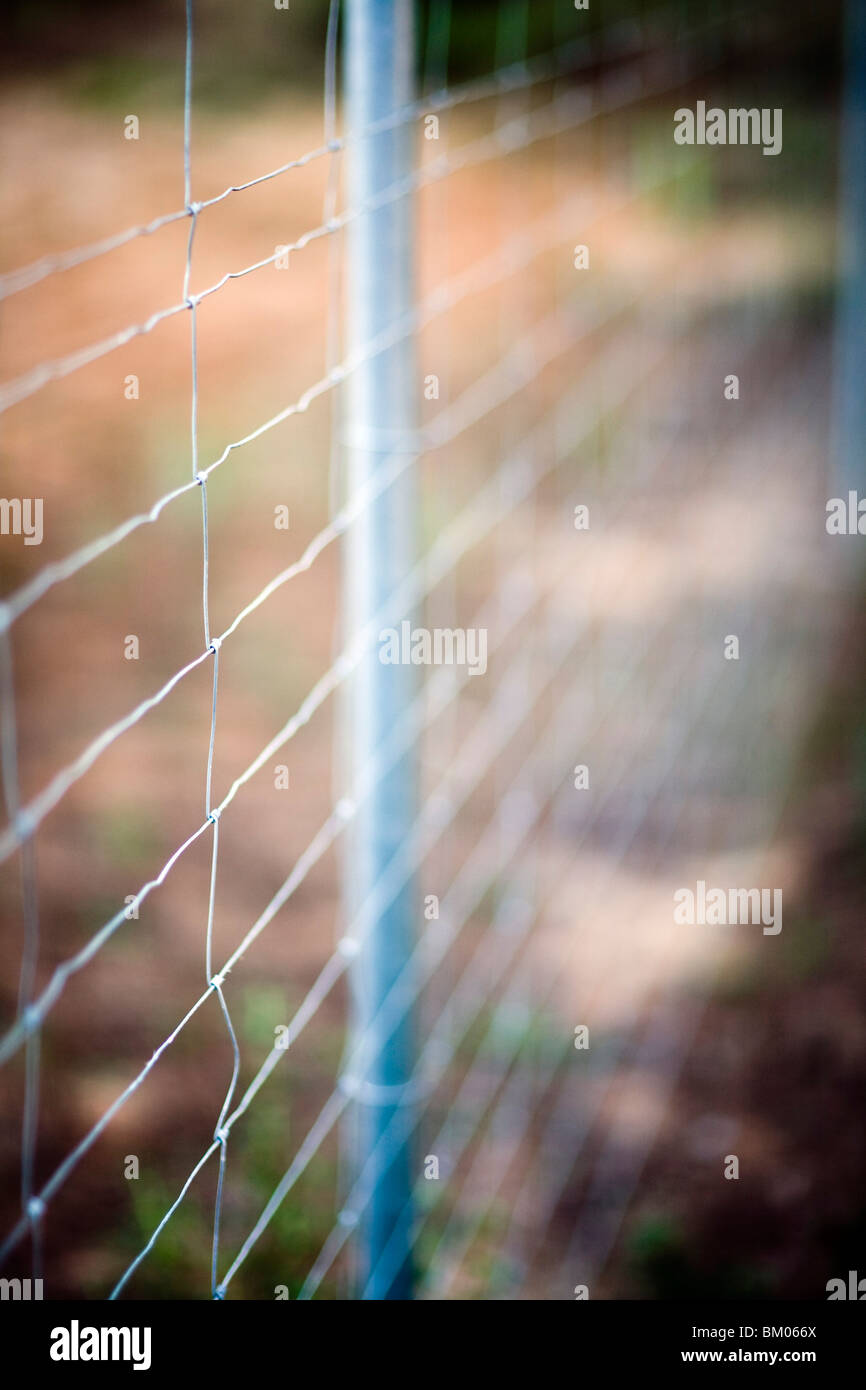 Wire fence in the countryside, Seville, Spain Stock Photo Alamy