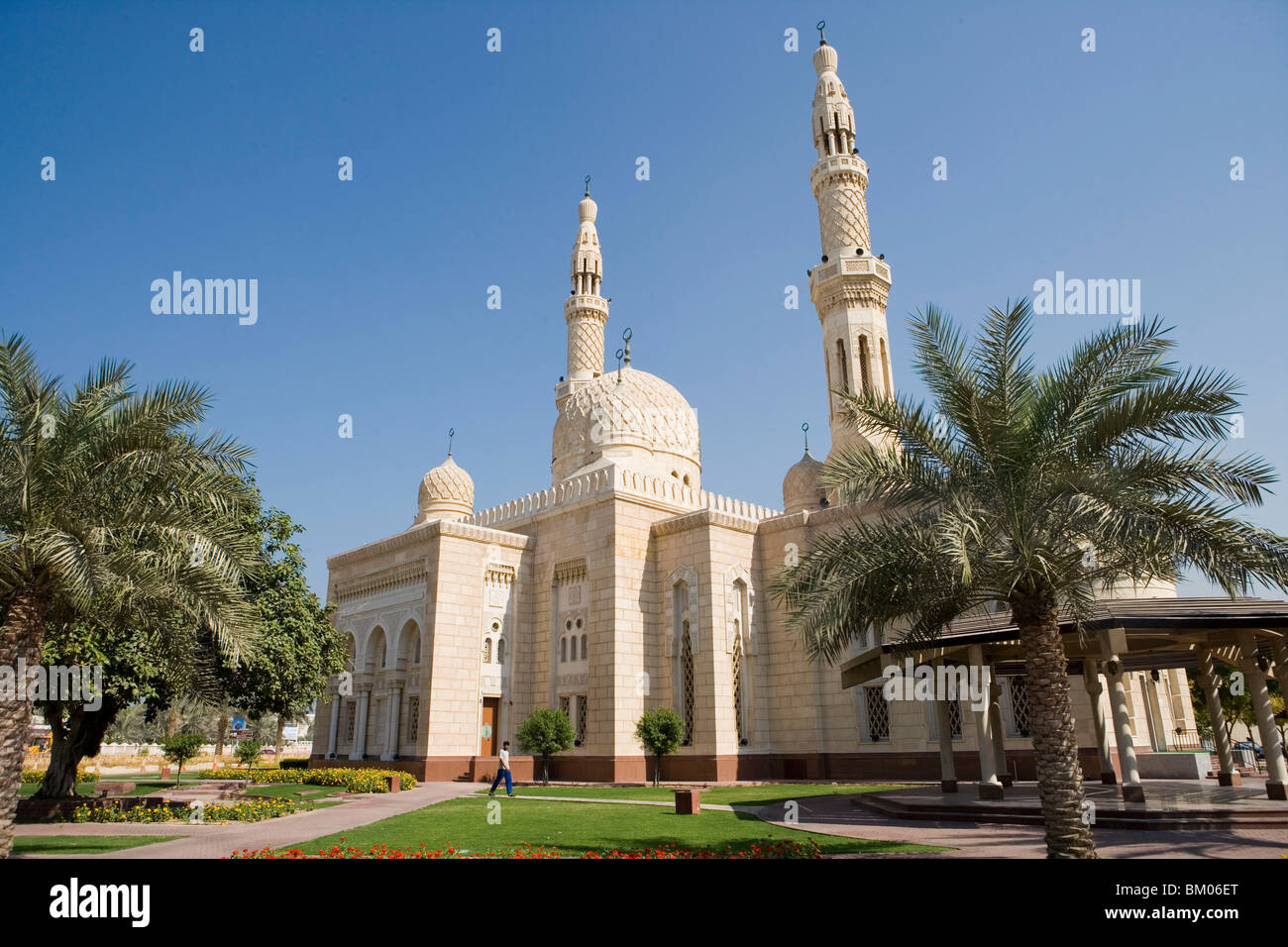 Date Palms & Jumeirah Mosque, Dubai, United Arab Emirates Stock Photo