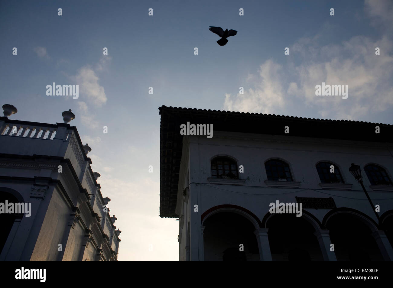 A pigeon flies over buildings in Cuetzalan del Progreso, Mexico. Stock Photo