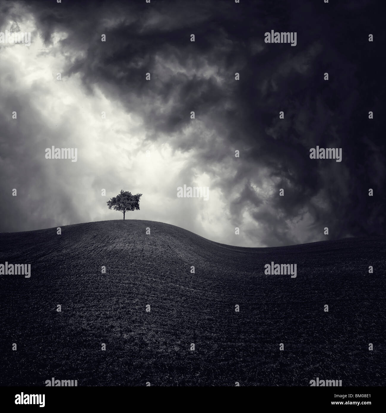 Tree at the top of a hill hi-res stock photography and images - Alamy
