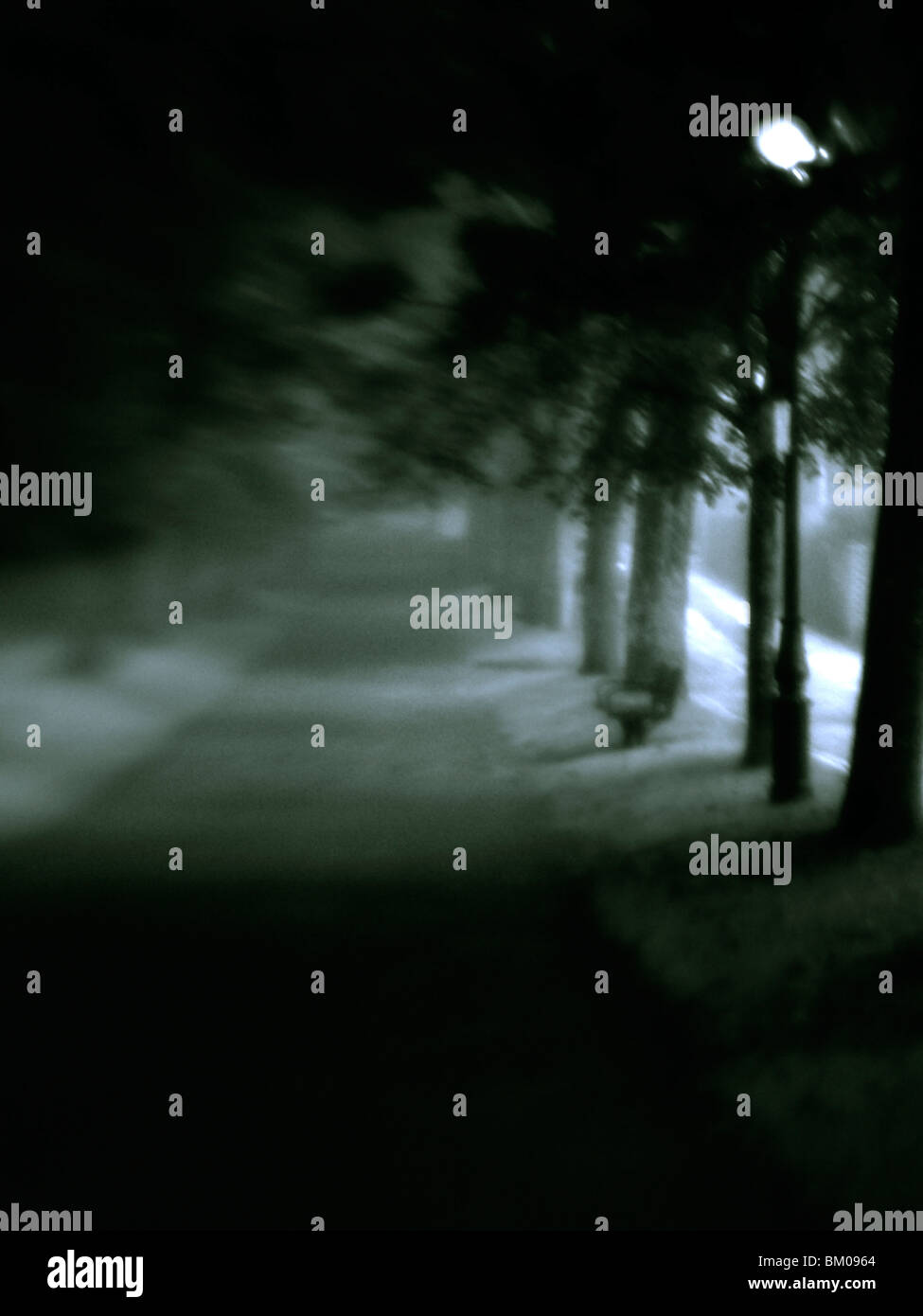 Sinister path into fog hi-res stock photography and images - Alamy