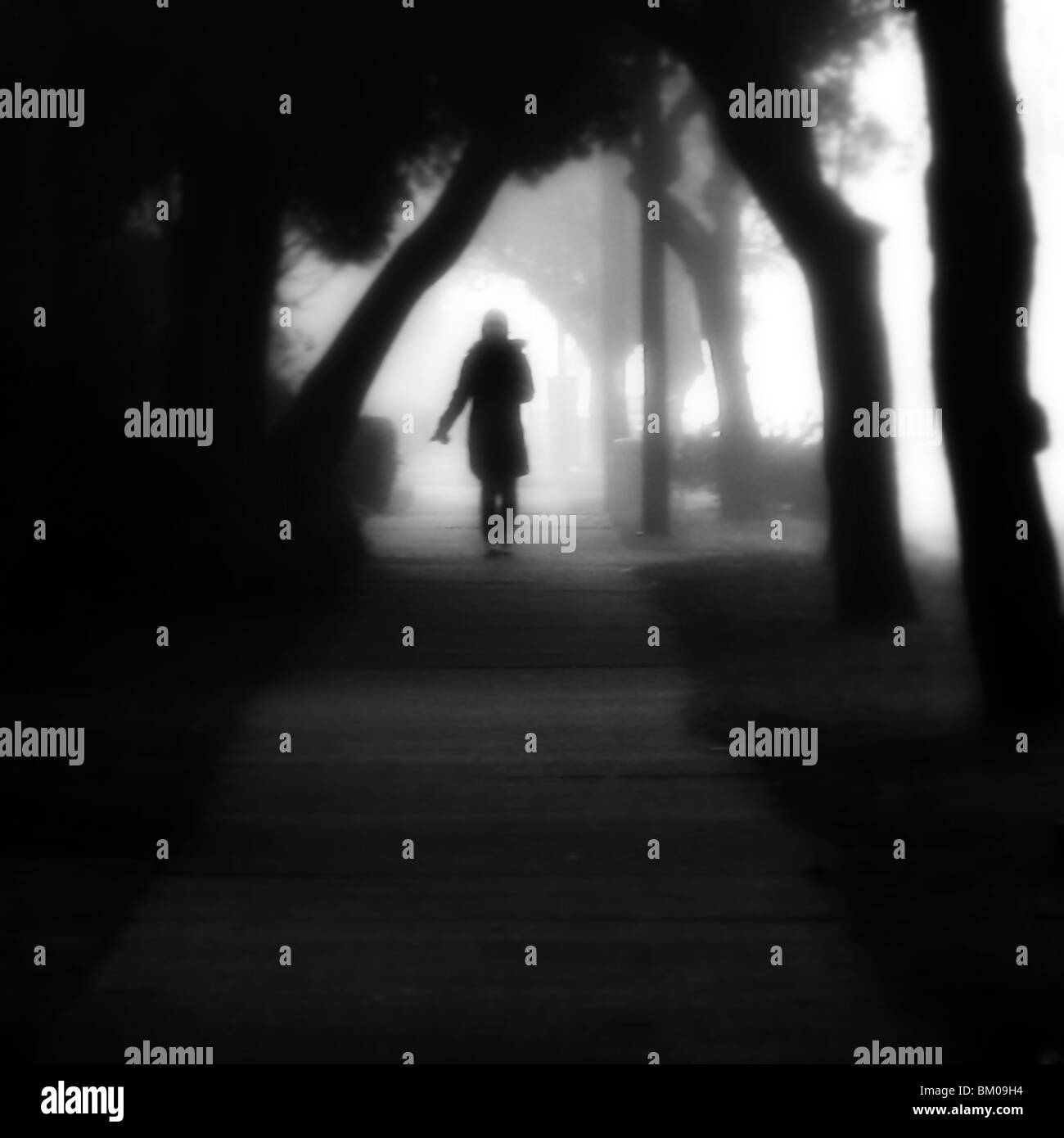 A lone girl walking down a tree covered sidewalk in the fog Stock Photo ...