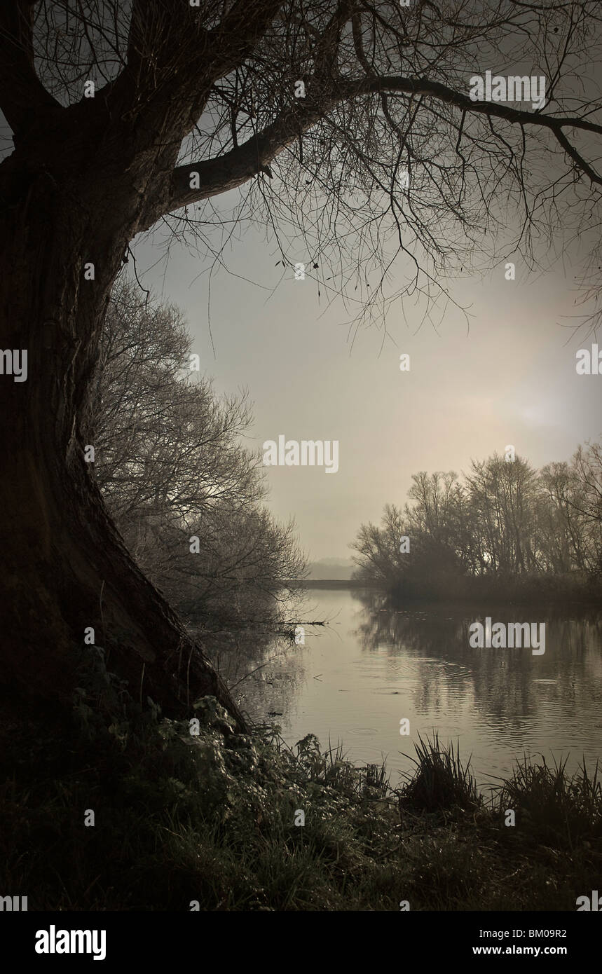 A view of a gently flowing river from the river bank beside an old tree