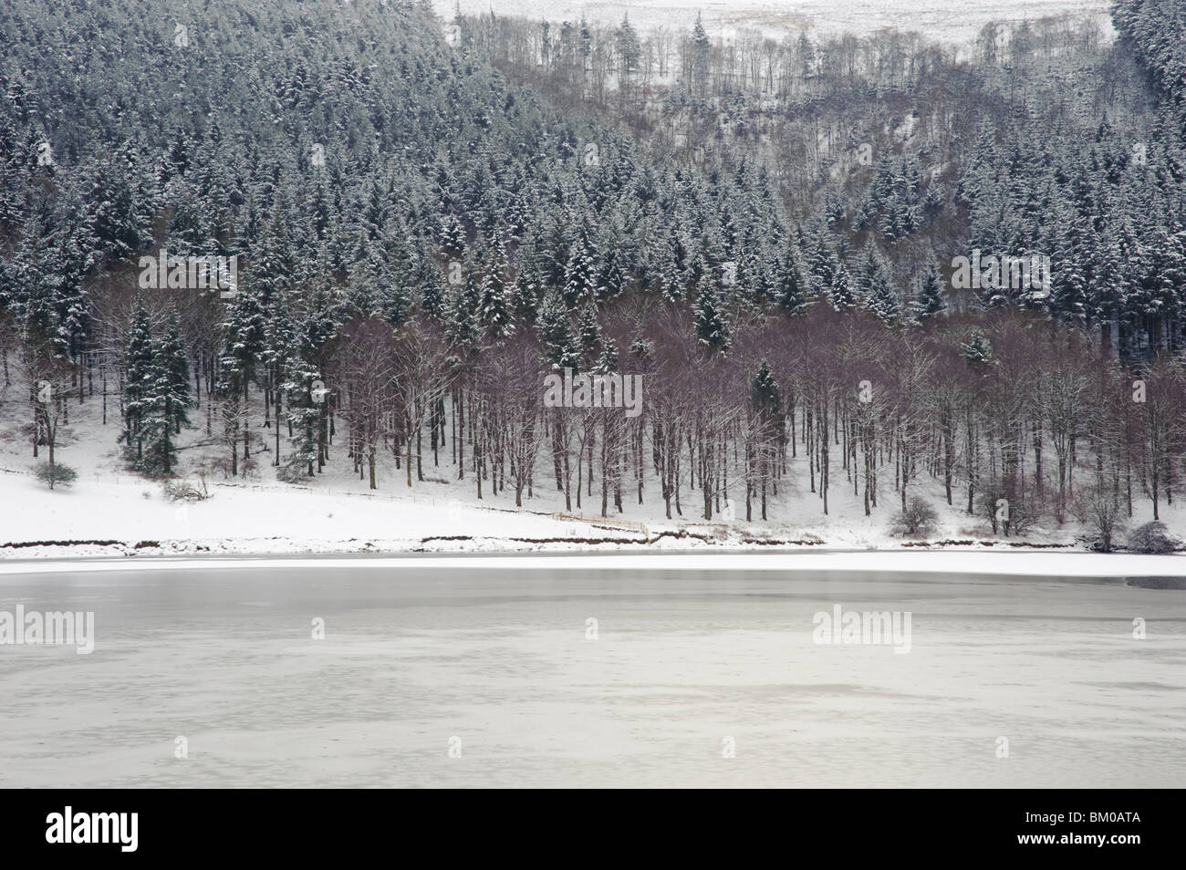 Winter,frozen lake and forest,snow covered landscape,Derbyshire,Peak District ,England,UK Stock Photo