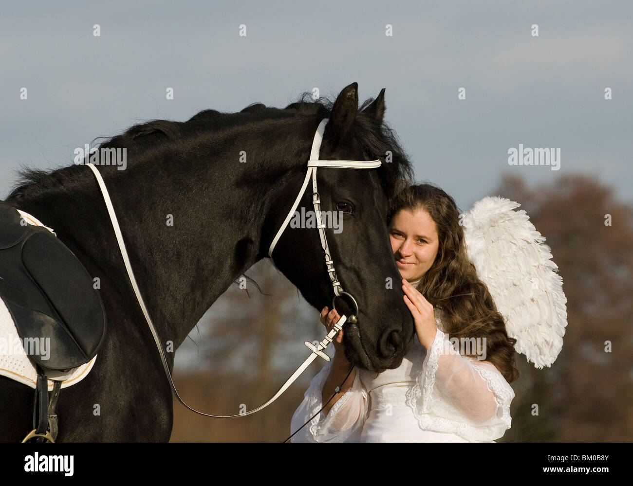 angel and friesian horse Stock Photo Alamy