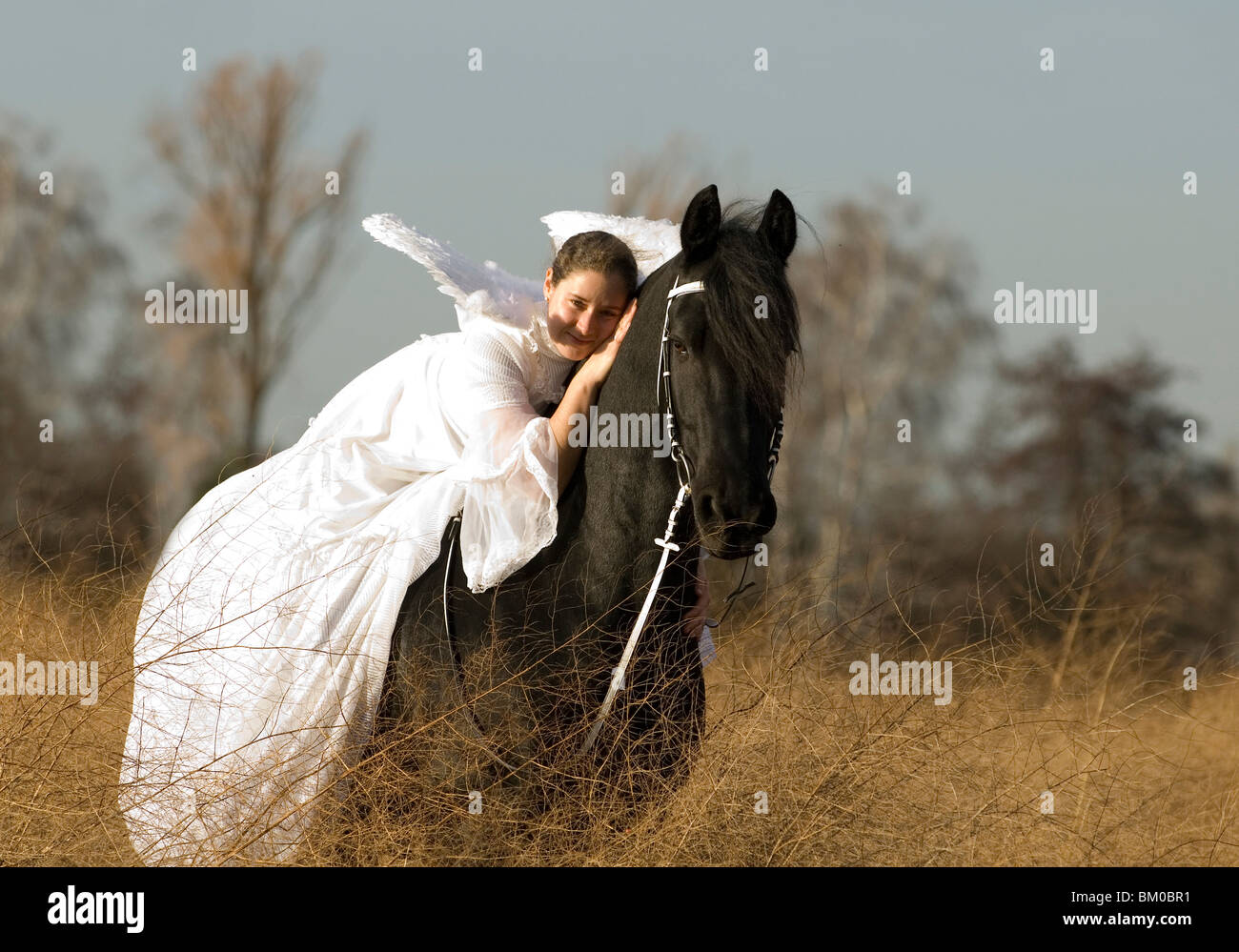 angel and friesian horse Stock Photo Alamy