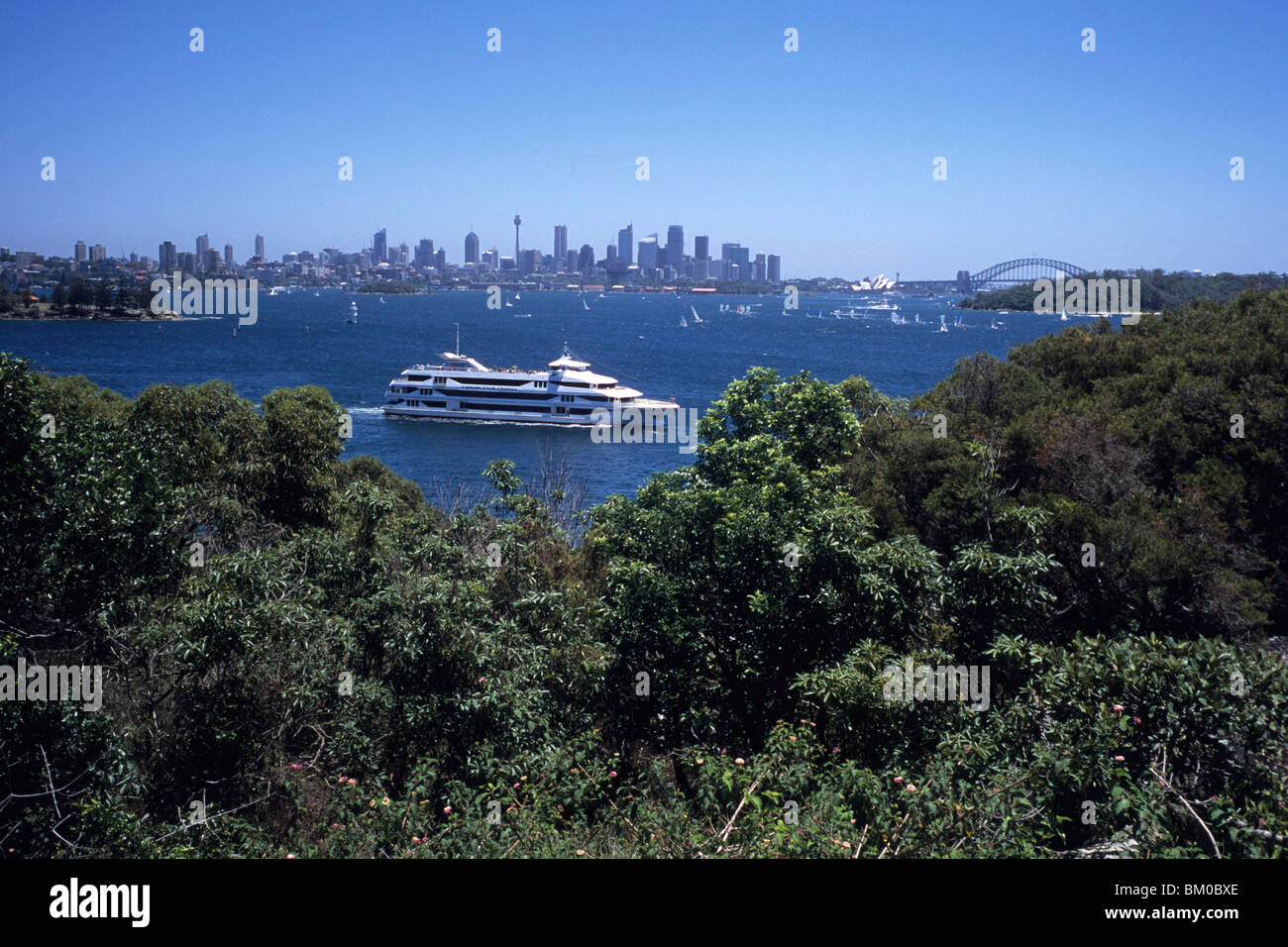 Captain Cook Cruise Boat & Sydney Skyline, View from Nielsen Park, Sydney, New South Wales, Australia Stock Photo