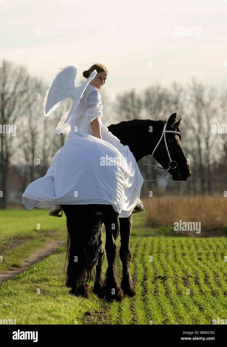 angel and friesian horse Stock Photo Alamy