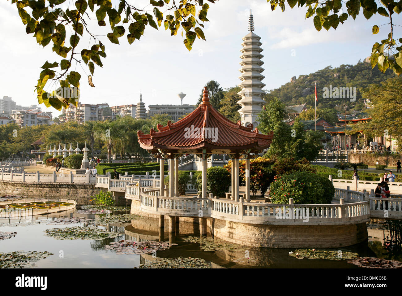 Lotos pond at Nanputuo Temple and pagoda, Xiamen, Fujian, China, Asia Stock Photo