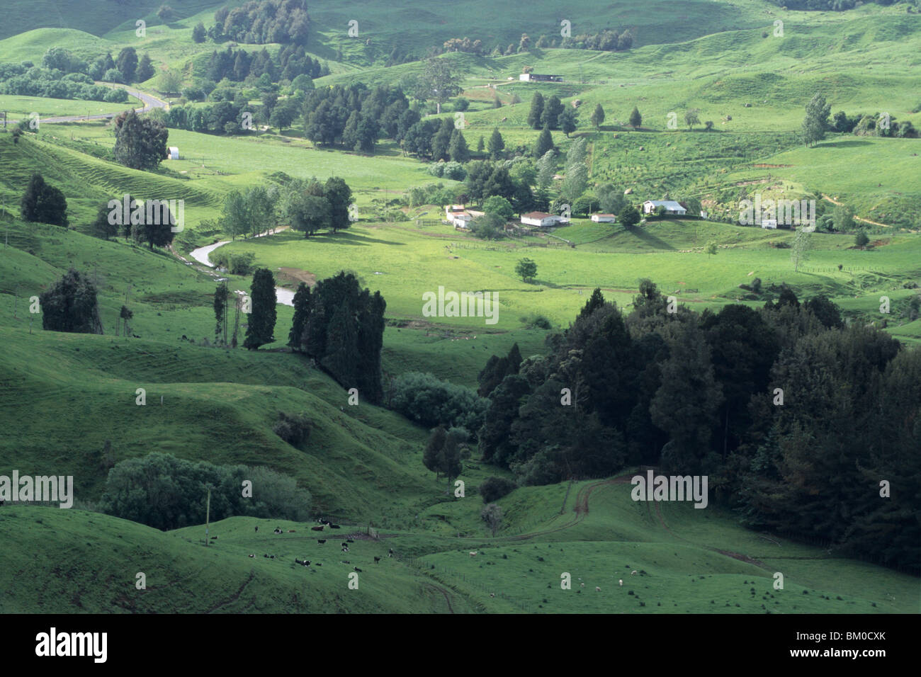 Taumarunui new zealand hires stock photography and images Alamy