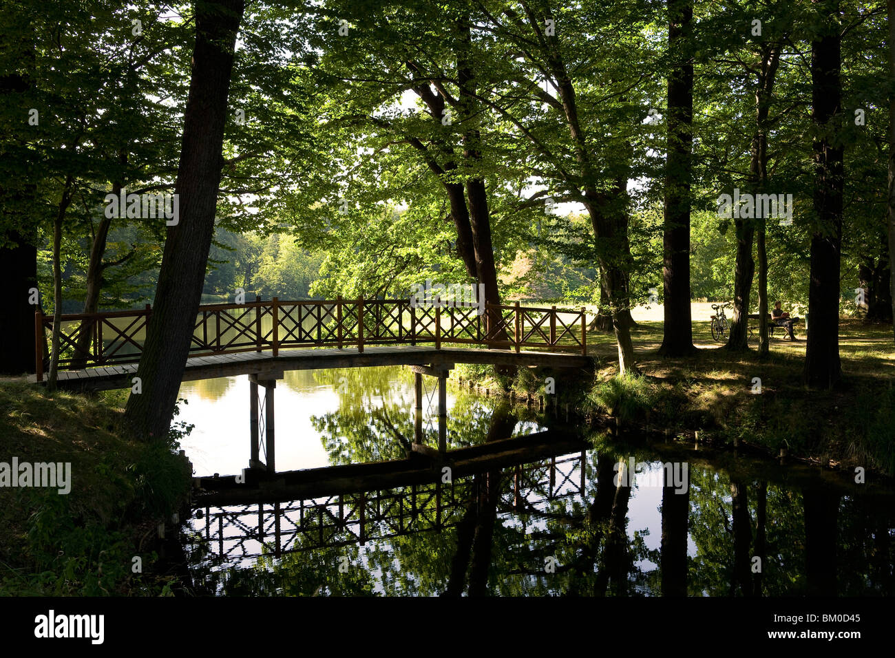 Grounds of Branitz castle, Fuerst Pueckler Park near Cottbus, Brandenburg, Germany, Europe Stock Photo