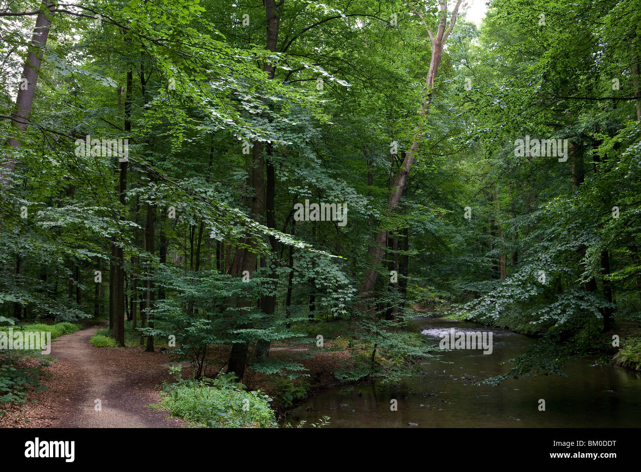 Landscape garden in Seifersdorfer Tal, Wachau, Seifersdorf near Dresden