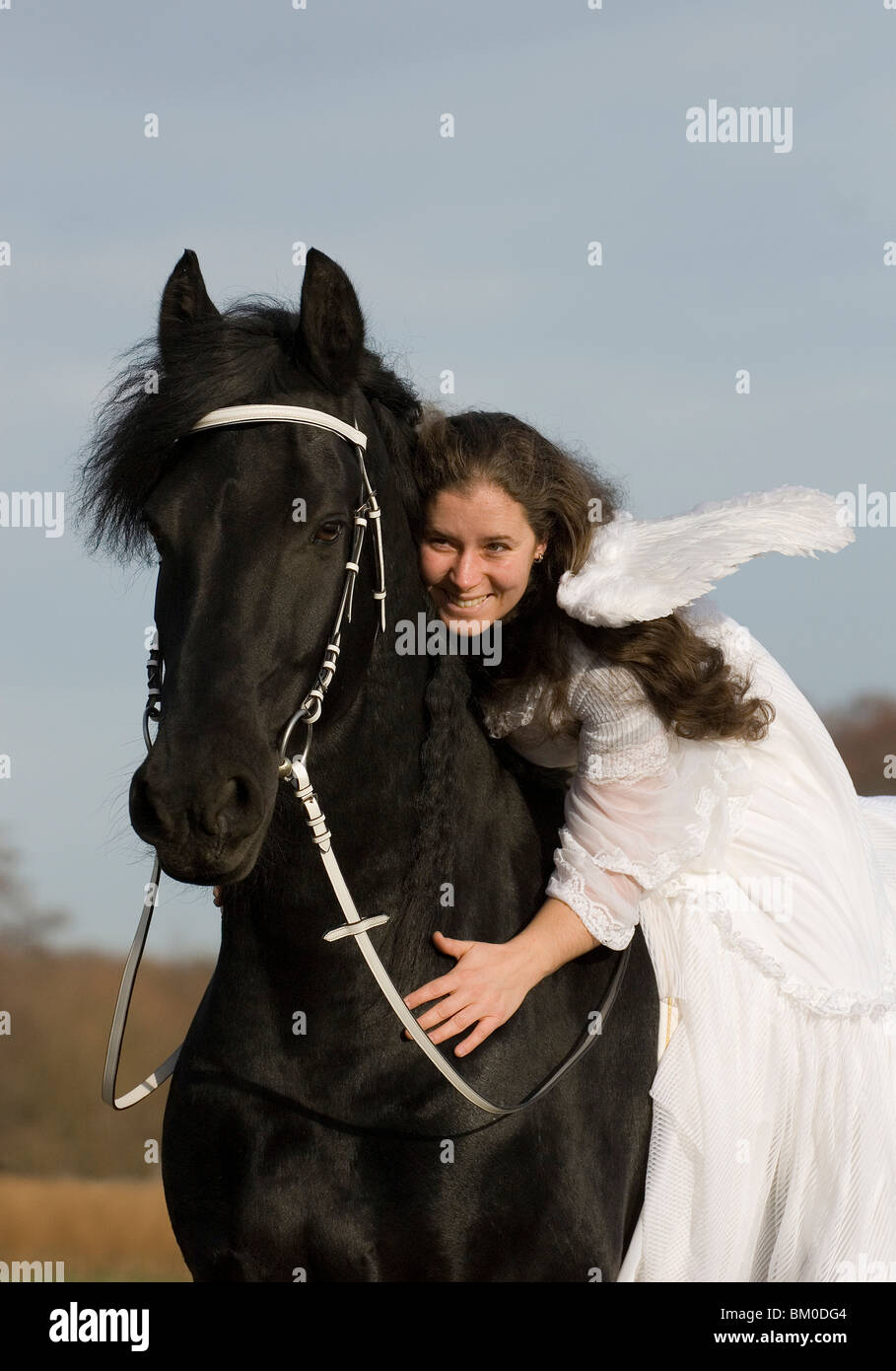 angel and friesian horse Stock Photo Alamy