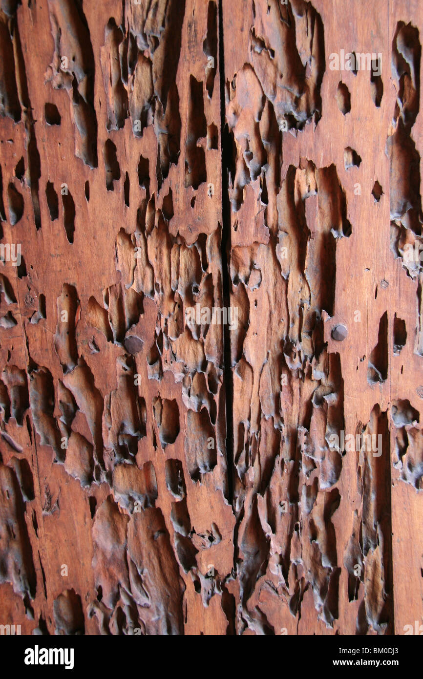 Detail of a wooden door with holes, Santa Catalina monastery, Arequipa, Peru Stock Photo