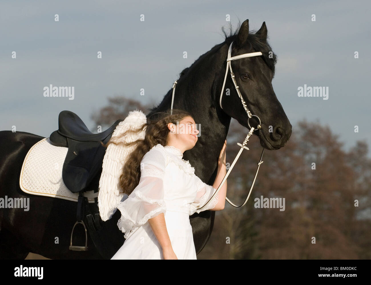angel and friesian horse Stock Photo Alamy